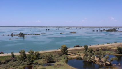 筑牢安全防線 守護生命之源——沙雅縣多措并舉確保塔河安瀾度汛